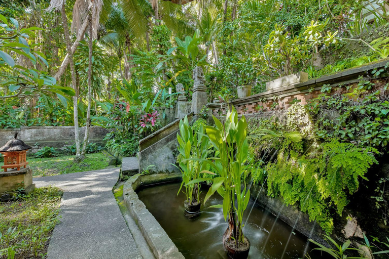 Scenery 14