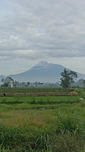 Scenery