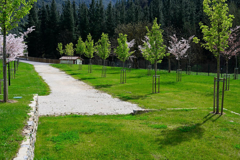 Others 4, Camping Liebana, Cantabria