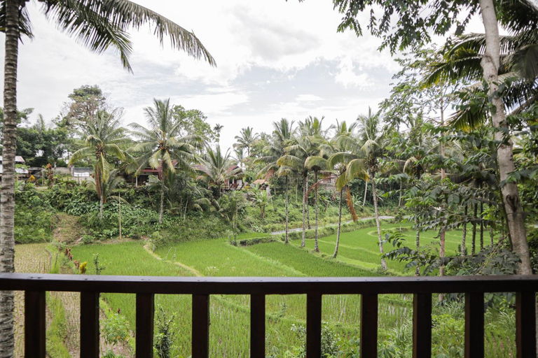Others 5, Nea Cottage Lombok, Lombok