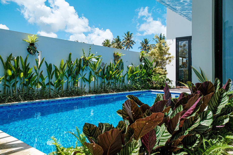Swimming Pool 4