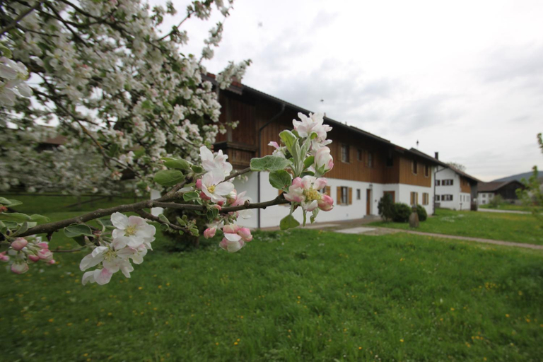 Others 3, Mayerbauer, Berchtesgadener Land
