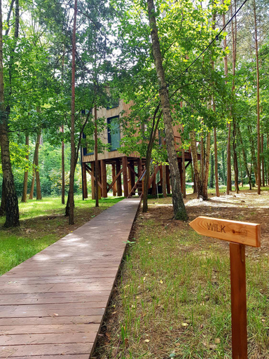 Scenery 17