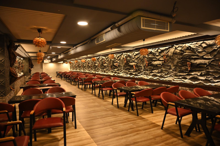 Food & Drinks 4, HOTEL KRISHNA, Nizamabad