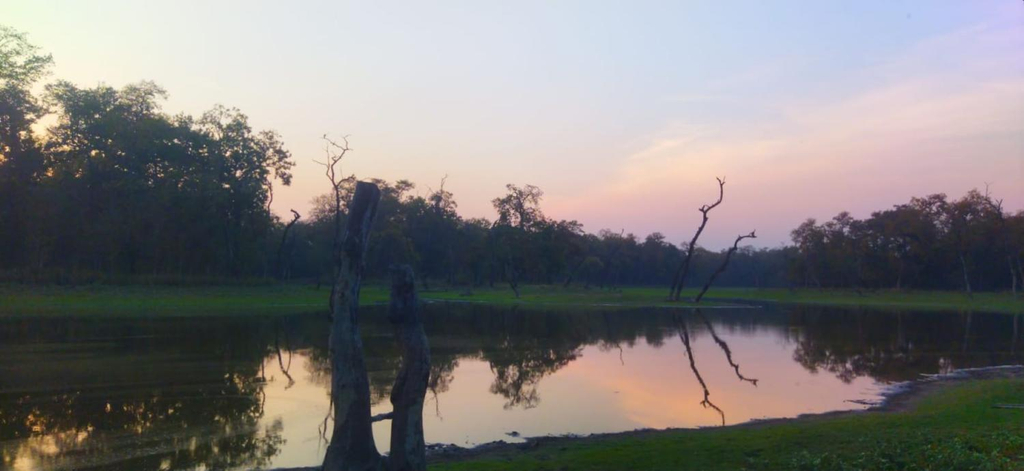 Surrounding environment 5, Riverside Jungle Retreat, Narayani
