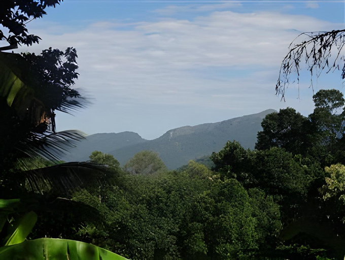 Others 5, Strathisla Tea Estate Bungalow, Rattota