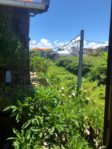 Scenery 1