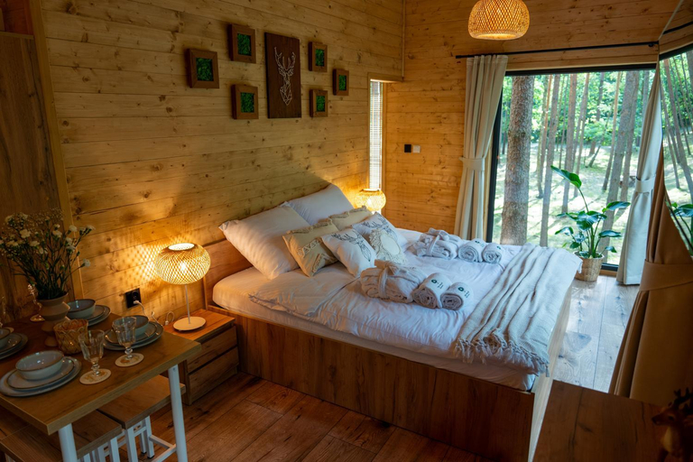 Bedroom 2, Tree Houses Olszanka, Żyrardów