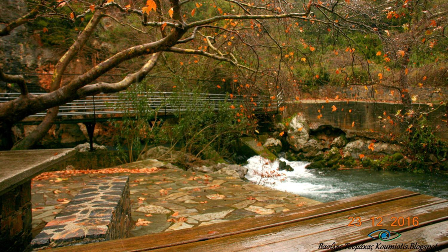 Surrounding environment 4, Hotel Pelagos Studios, Central Greece