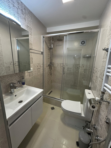 Bathroom, Duplex two bedroom apartment, Tbilisi