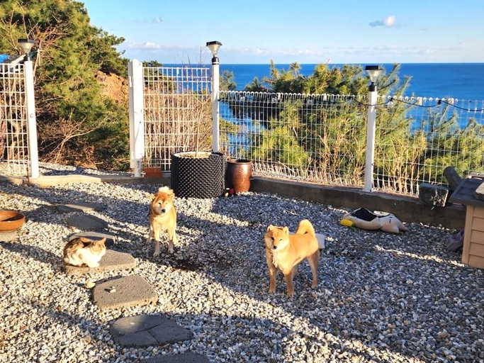 3, Gangneung Cordelia Pension, Gangneung