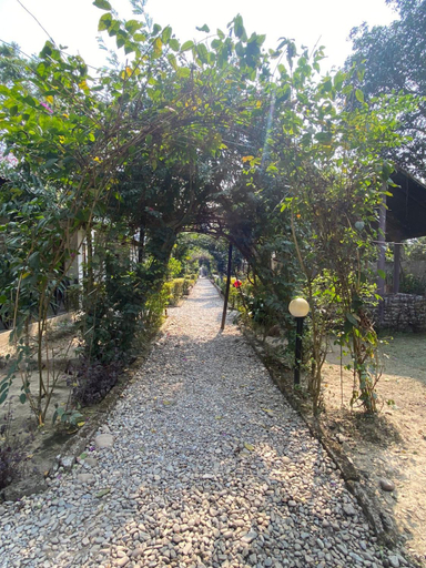 Others 5, Annapurna View Lodge, Narayani