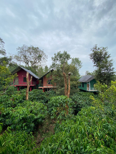 Others 3, The Rain Tree Resort, Wayanad