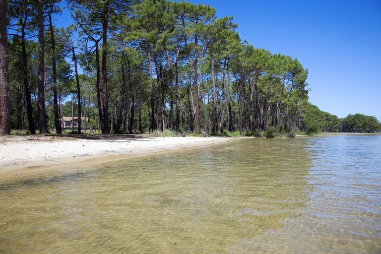 Others 3, Chambres vue jardin entre Lac et Foret, Landes
