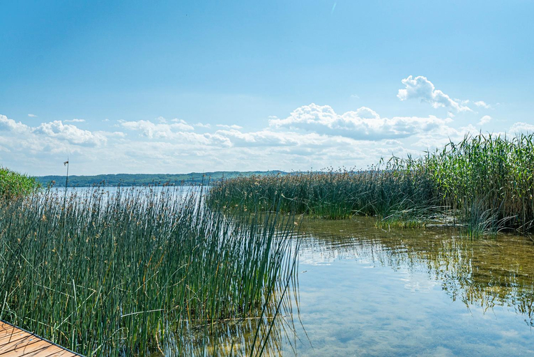 Others 3, Litoral Domki Lubkowo, Puck