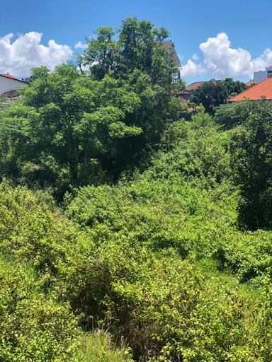 Scenery 5