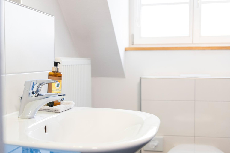 Bathroom 5, Brauerei und Hotel Krone, Bodenseekreis