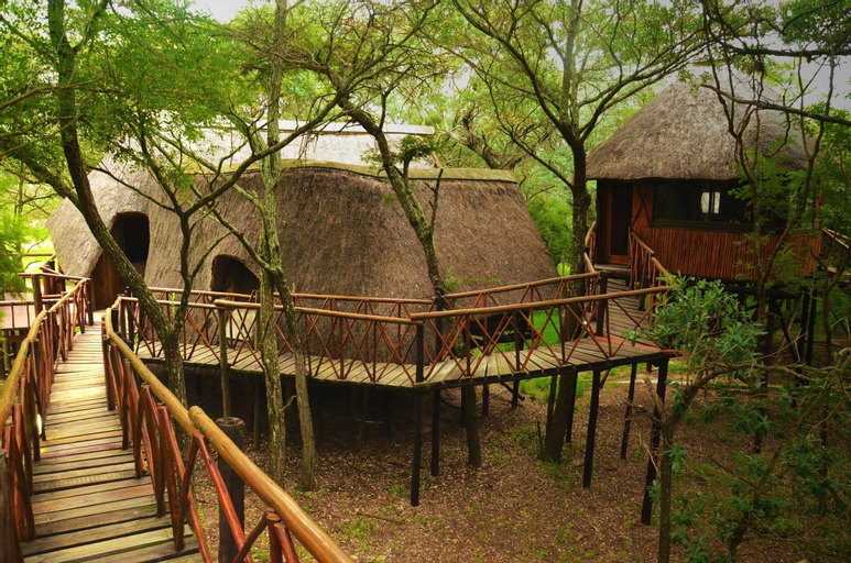 Pezulu Tree House Lodge, Mopani