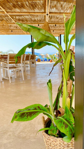 Sport & Beauty, Zoom Beach Hotel, Peloponnese