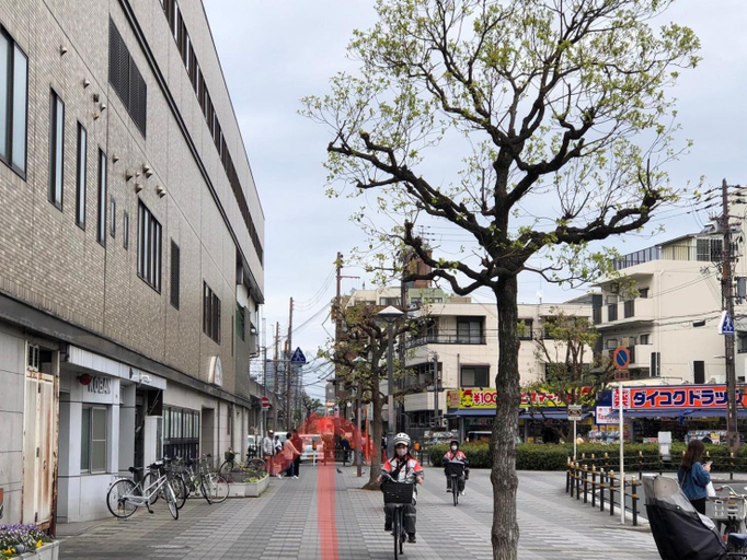 Others 5, 夢見草yumemigusa大家族可能 南海難波線関空直線35分, Osaka