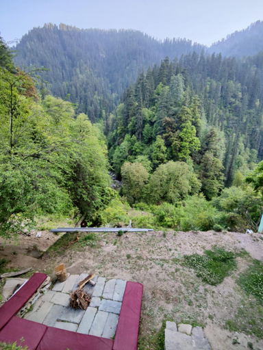 Others 1, The Forest Pinnacle & Cafe , Sojha, Kullu