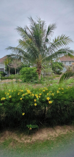 Others 5, Deluxe Soan Villa - Sealinks Mui Ne, Phan Thiết