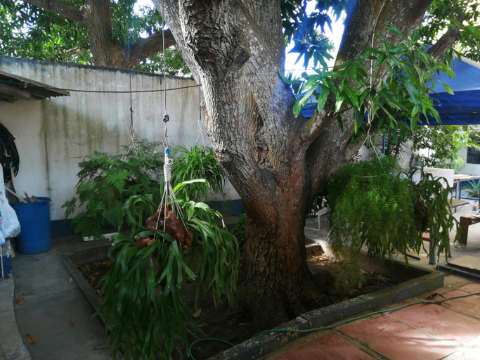 Others 2, Hospedaje Altamira, Barranquilla