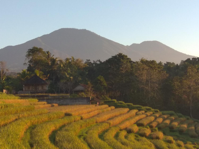 Scenery 11