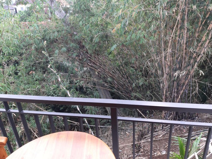 Scenery 13