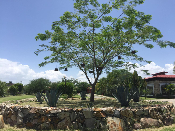 Others 5, Frutos Hotel, Ameca