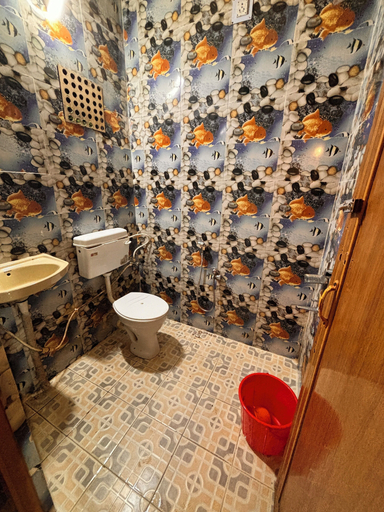 Bathroom 3, Plush hotels, Khordha