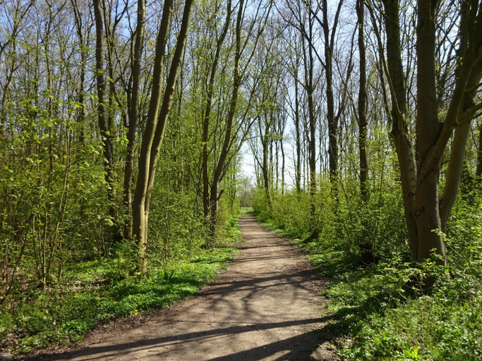 Others 4, Chezeehoeve - Wemeldinge, Kapelle