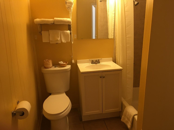 Bathroom 4, Royal Inn, Brown