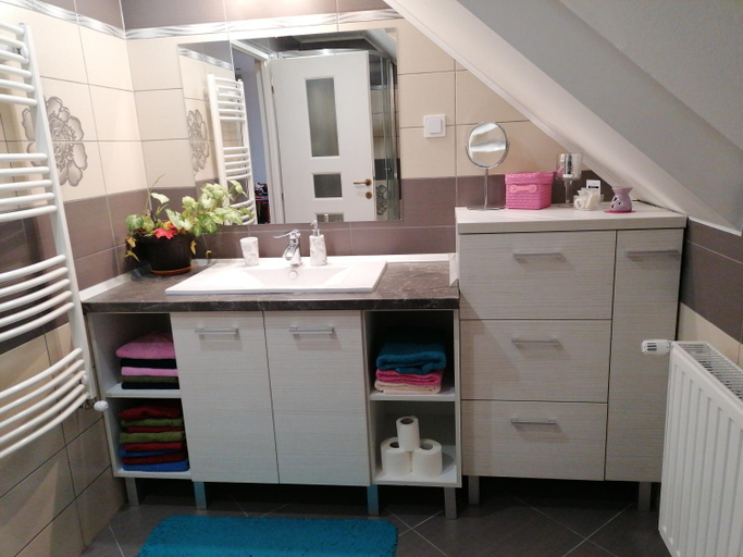Bathroom 3, Szekelyfoldi csaladi haz, Siculeni