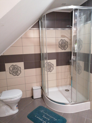 Bathroom 4, Szekelyfoldi csaladi haz, Siculeni