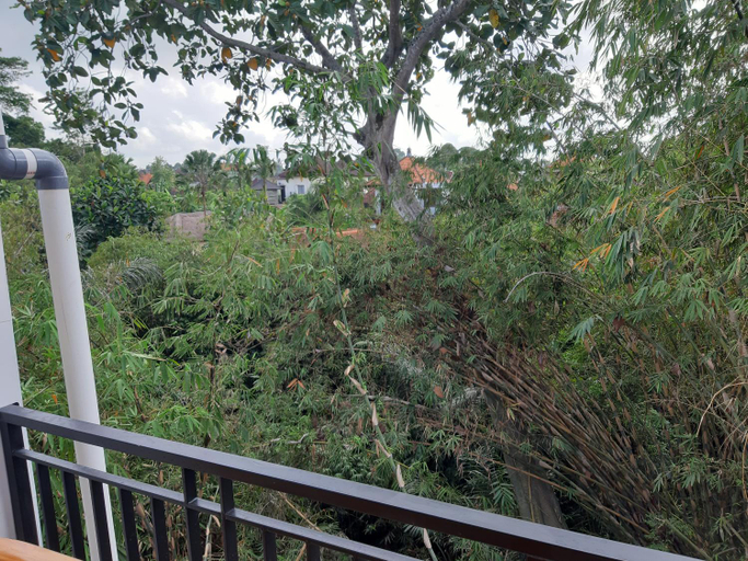 Scenery 12
