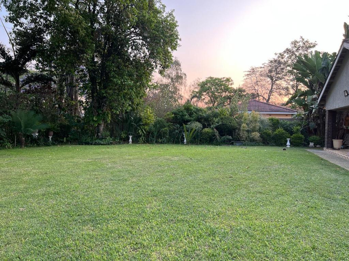 Surrounding environment, Golden bamboo, Masvingo