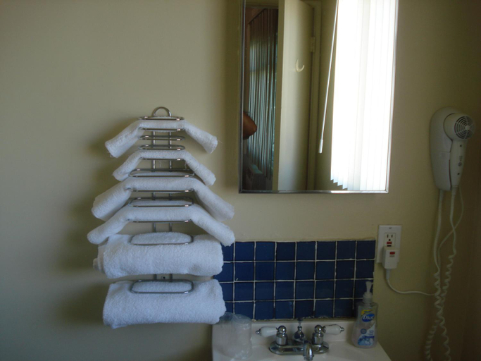 Bathroom 3, Safari Motor Inn - Joshua Tree, San Bernardino