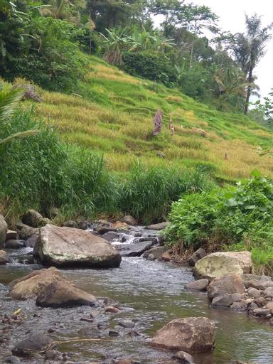 Scenery 10