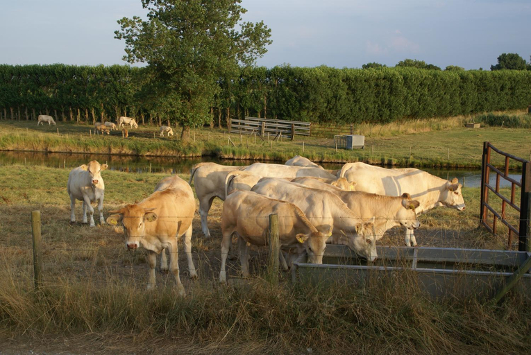 Others 5, Chezeehoeve - Wemeldinge, Kapelle