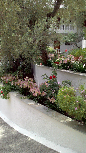 Others 3, Olive Grove Studios, Thessaly