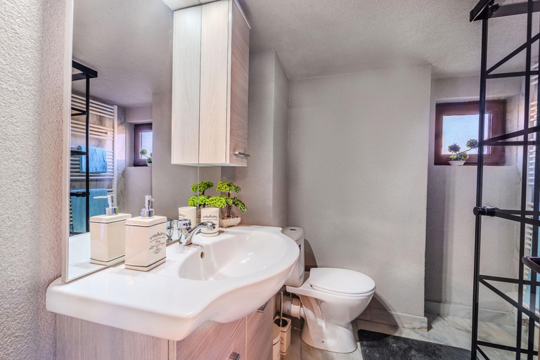 Bathroom 2, Montain Wild Chalet with Wooden Hot Tub, Avram Iancu