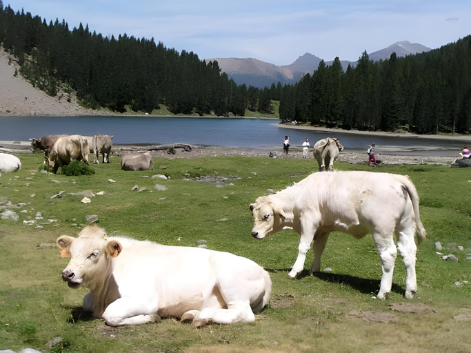 Others 3, wecamp Pirineos, Huesca