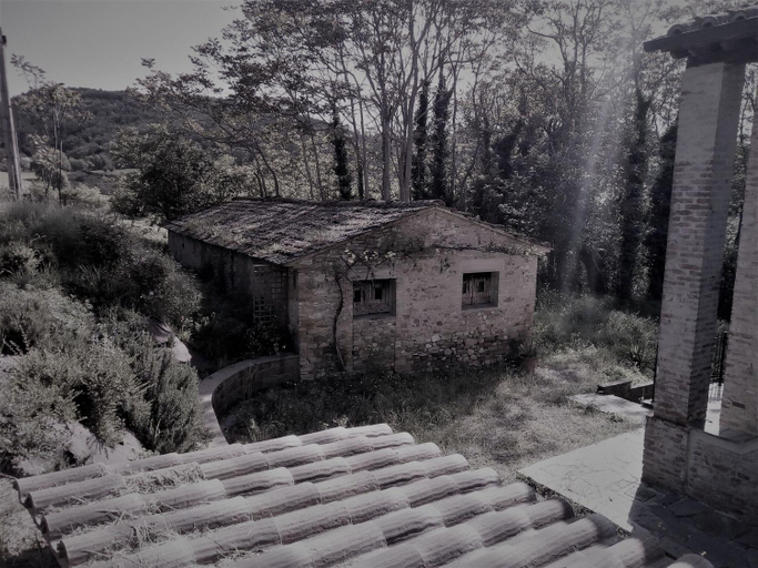 La Collina Con Gli Ulivi, Perugia