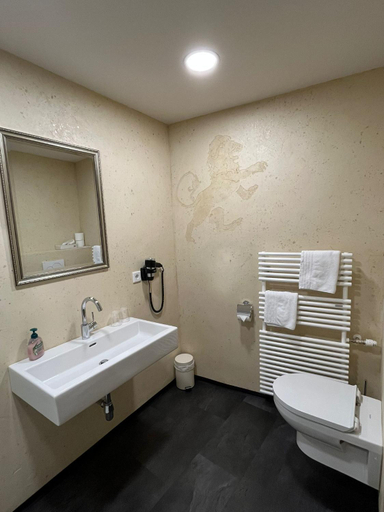 Bathroom 3, Hotel Goldener Lowe, Kufstein