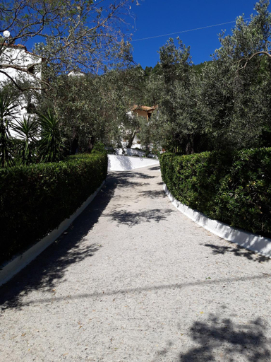 Others 2, Olive Grove Studios, Thessaly