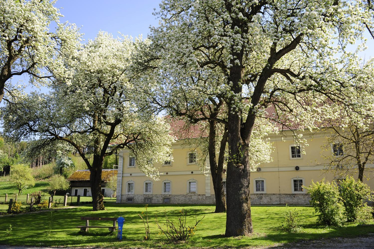 Others 2, 24/7 Zimmer Asten, Linz Land