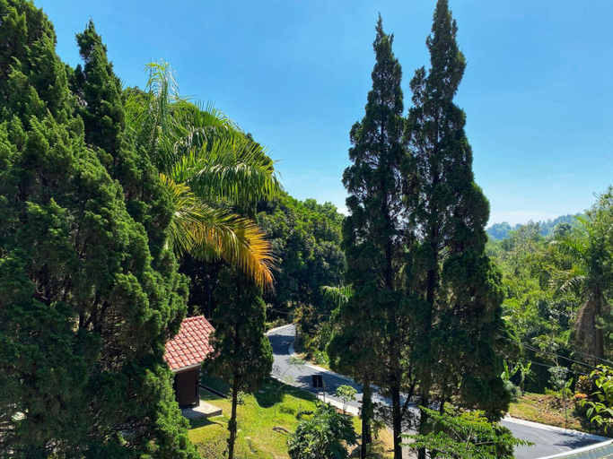 Scenery 8