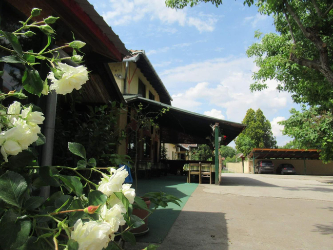 Garden, Guljas Carda Old, Subotica