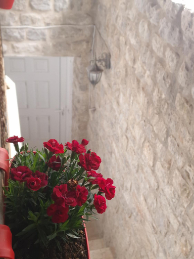 Others 4, Rooms Dana Old Town Budva